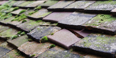 Golden Grove roof repair costs